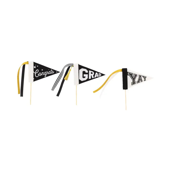 Mini Graduation Pennant Set