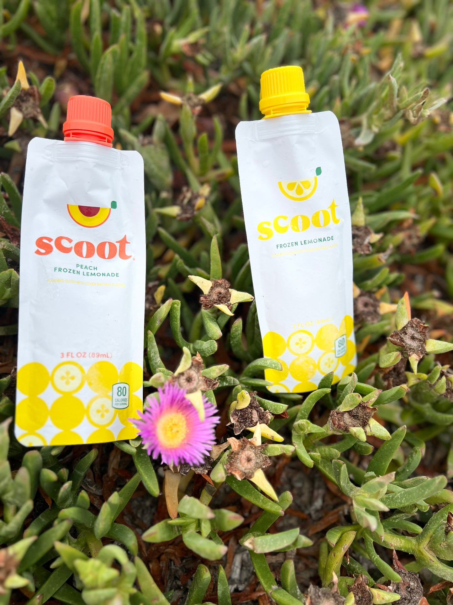 Scoot Frozen Lemonade