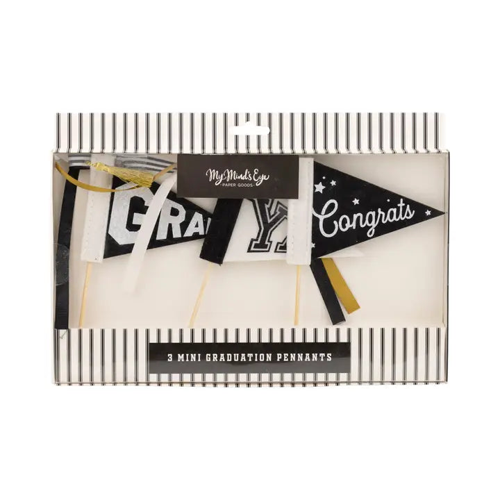 Mini Graduation Pennant Set